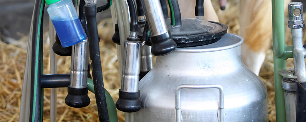 Оценка оборудования для молочной фермы